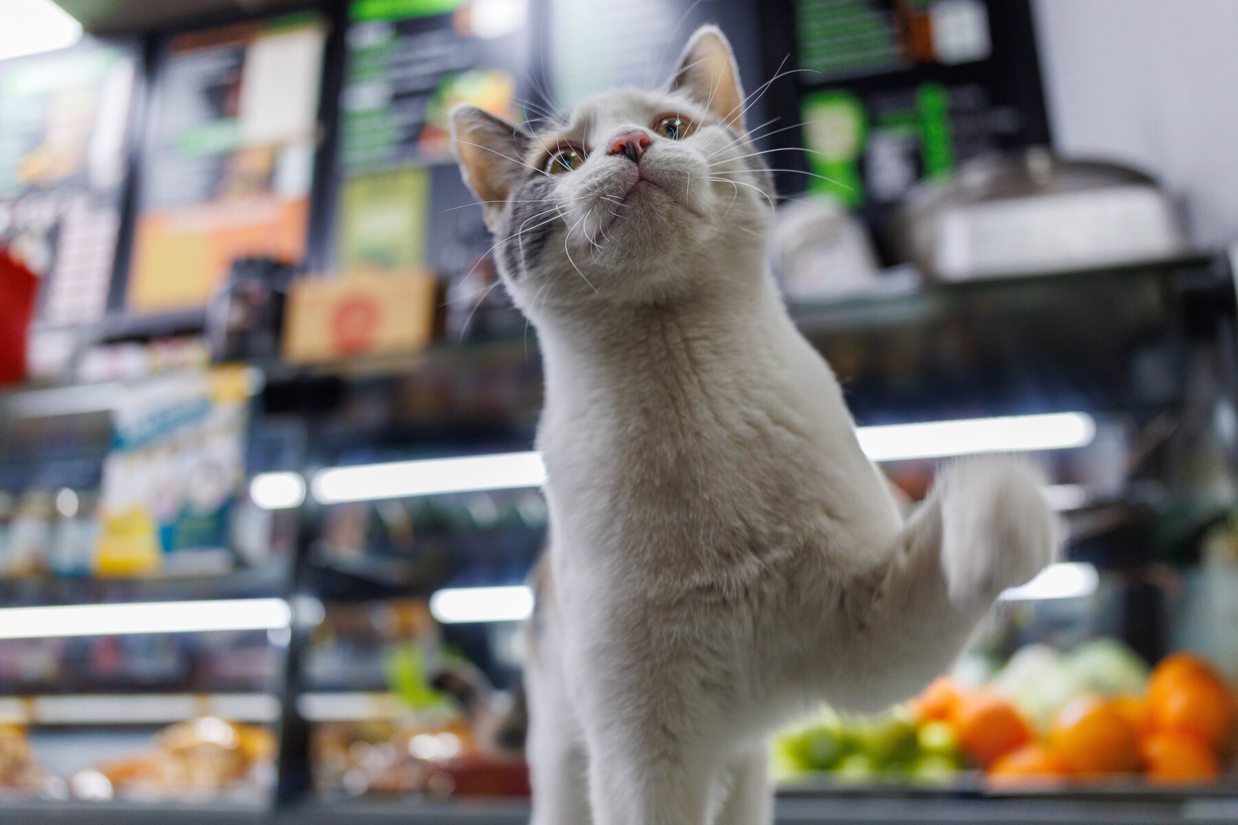 Nancy reaching up from the bodega floor
