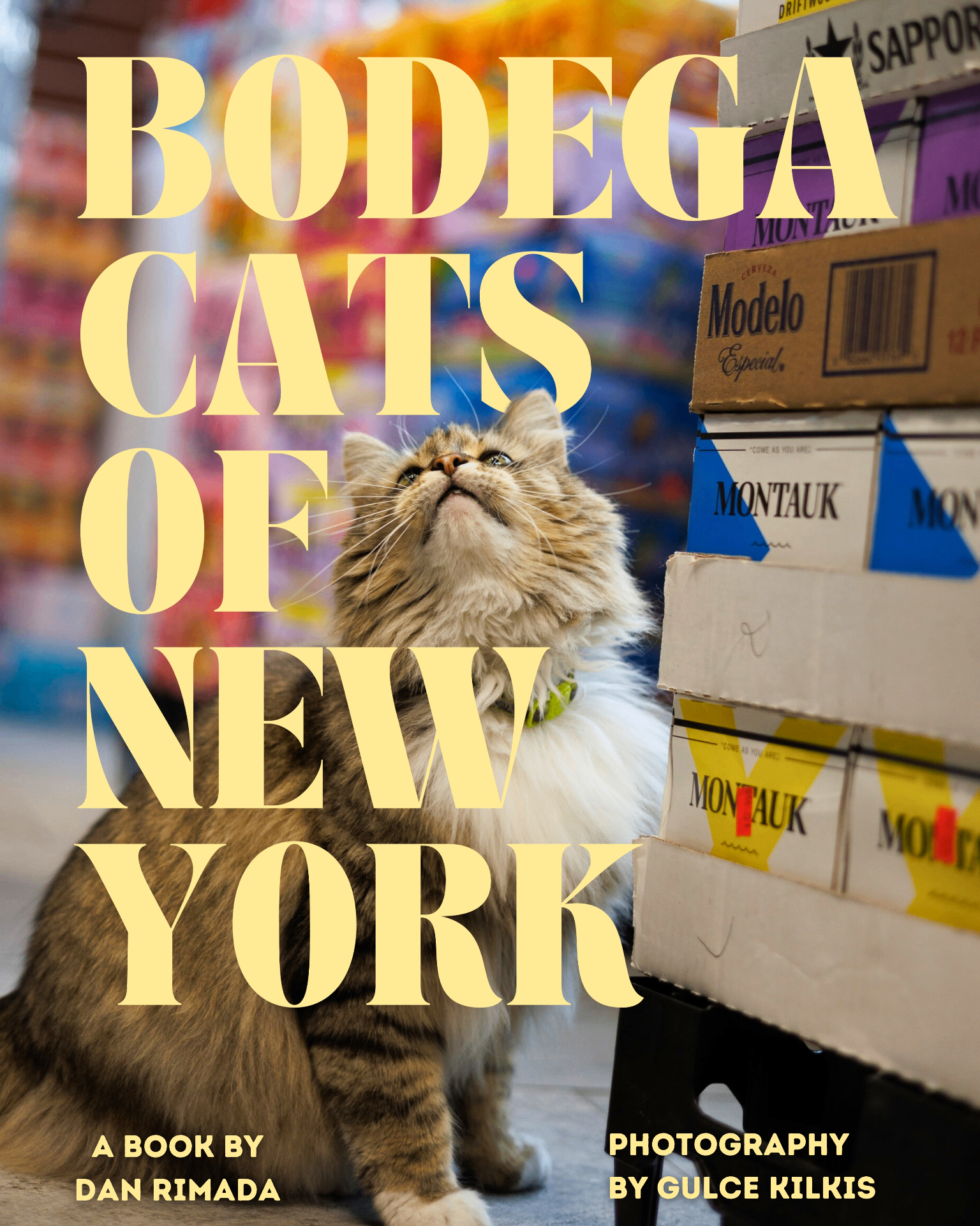 Bodega Cats Book — hardcover coming October 2026