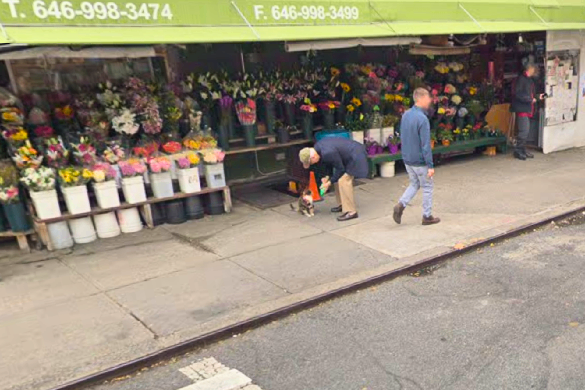 Google Street View capture showing a stranger petting Pancha among the flower buckets