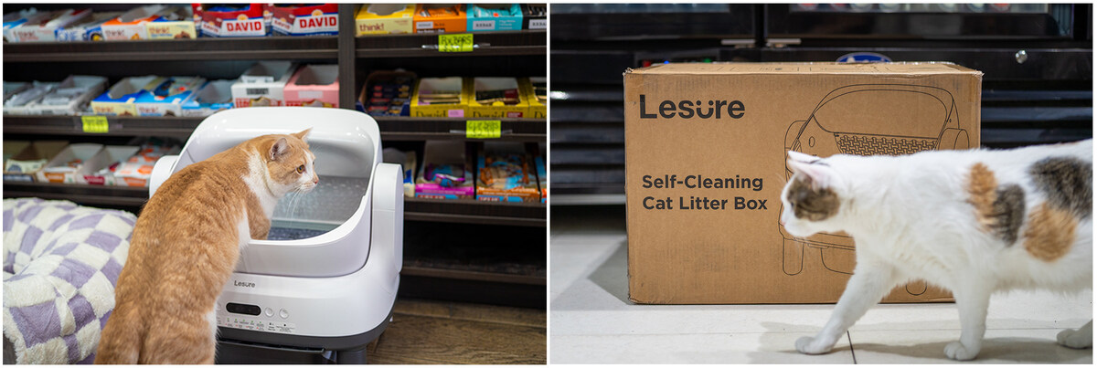 Lesure litter box photographed inside a New York City bodega with bodega cats
