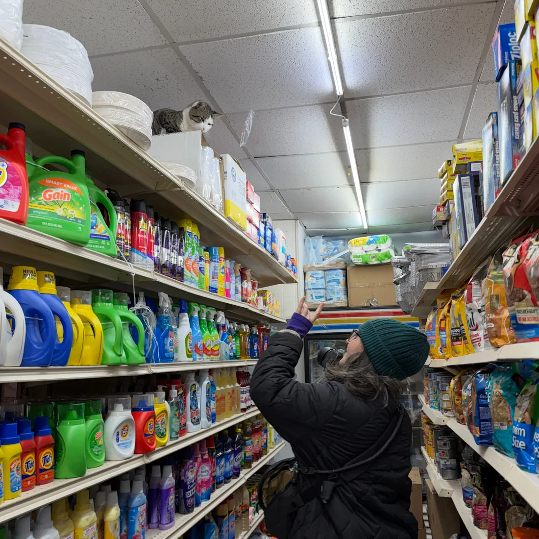 Dan Rimada greeting black cat on bodega shelf