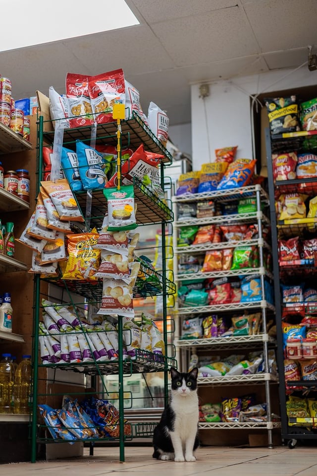 Cookie at the bodega