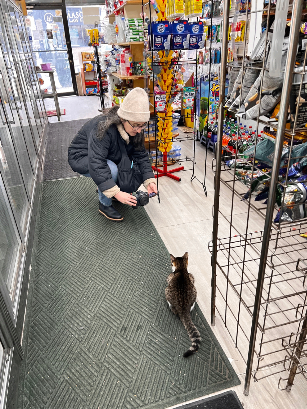 Why Some Bodega Cats Take Four Weeks to Photograph