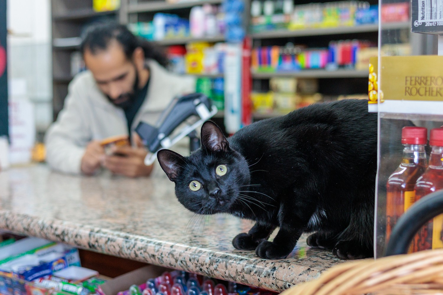 Black cat lying on the counter near the register, eyes alert